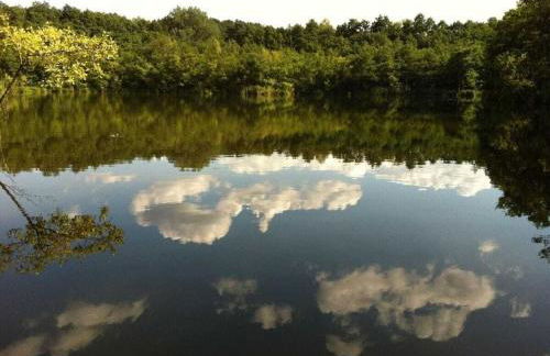 Göwe Comfortable holiday residence - Foto 15