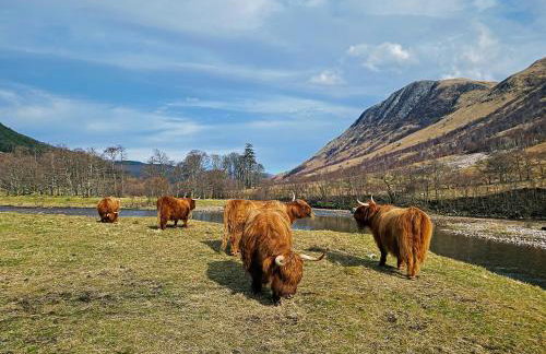 Glenrigh House - Main Residence for 7 people - Photo 61