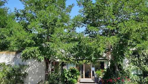 Glashus-Moos Kajüte - Foto 2