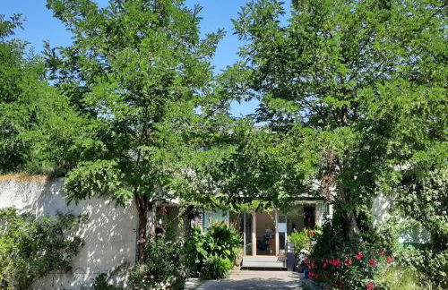 Glashus-Moos Kajüte - Foto 2