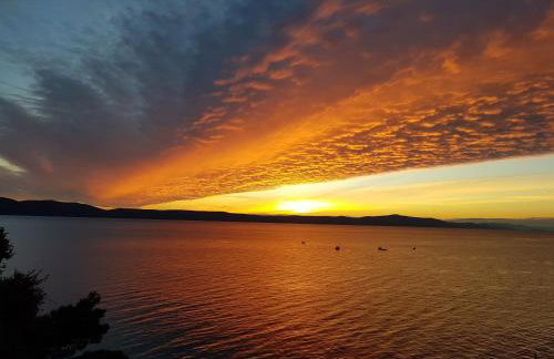 Apartmani Anda - Photo 25