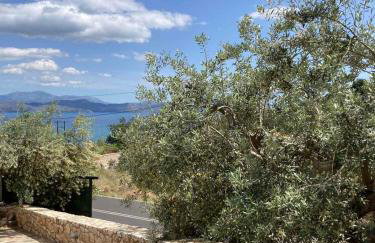 Anaval's View Apartments - Photo 7