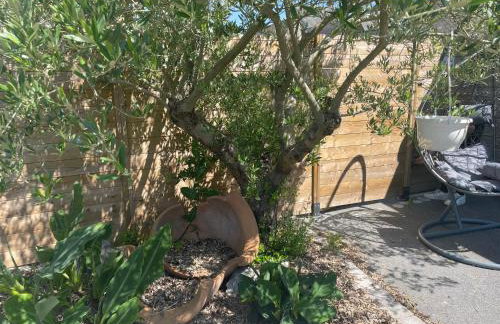 Gîte Les Eaux du Moulin piscine chauffée et jacuzzi - Foto 25