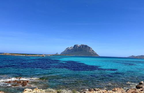 Villa Alzoni - Foto 40