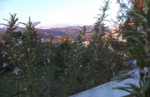 Apartment Montecatini-Terme near Firenze, Lucca, Pisa - Foto 33