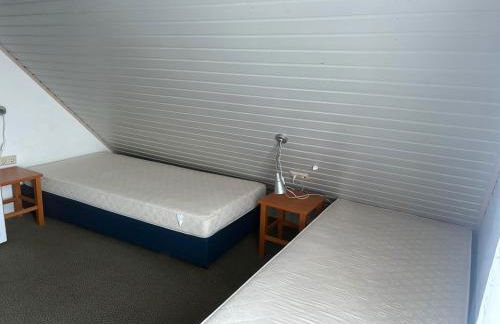 Sternschnuppe - Foto 4