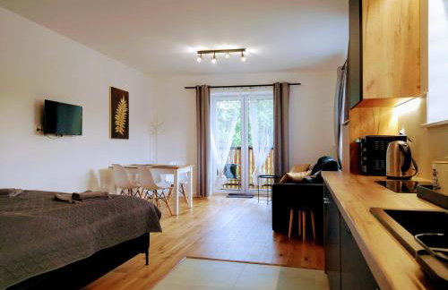 nowy Apartament Willa Sowia z widokiem na Śnieżnik - Foto 19