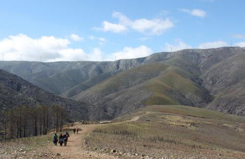 A Avozinha - Arouca - Foto 67
