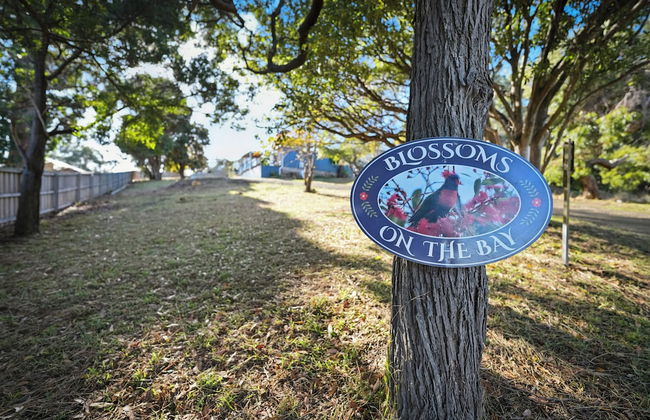 Blossoms on the Bay - 4 Bedrooms - Foto 57
