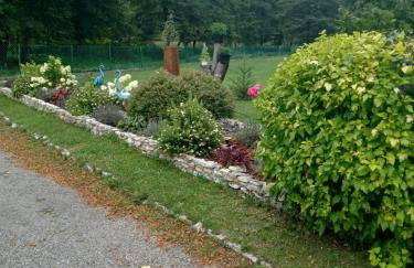 Agroturystyka Leśna Ostoja Borek - Foto 14