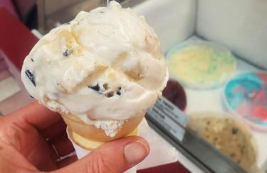 Oceanfront Studio on Longboat Key! - Foto 69