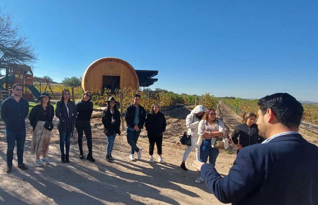 Aguascalientes Private Winery Tour - Foto 8