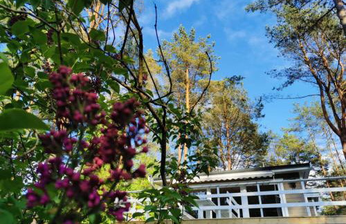 Sosnowy Azyl - Foto 28