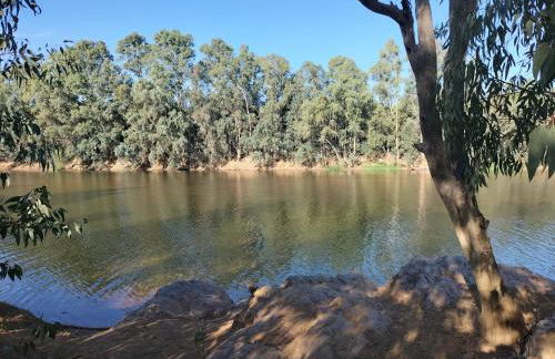 FINCA RIODIEL - Foto 41