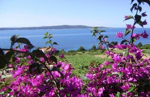 Apartment Lenka - Foto 38