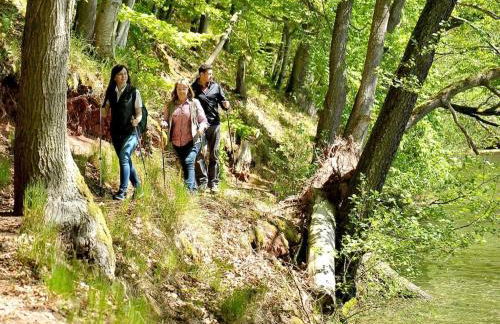 Holiday home Bauernhauschen in the Rhon - Foto 20