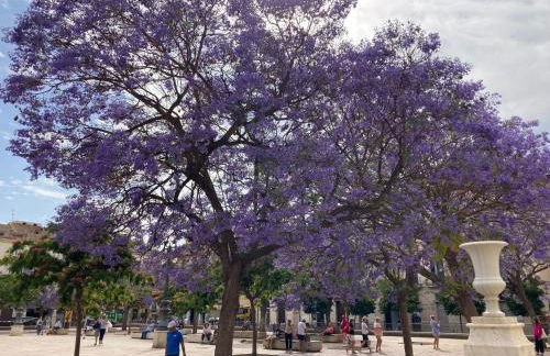 Cabaña La Pura Vida Yunquera - Foto 19