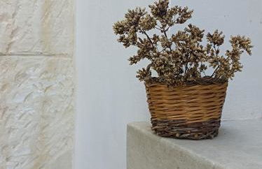 Camera Origano in Salento - Foto 43