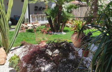 Cactus house - Foto 65