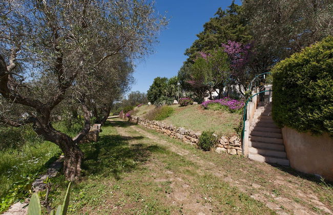 Villa Ricci - Foto 39