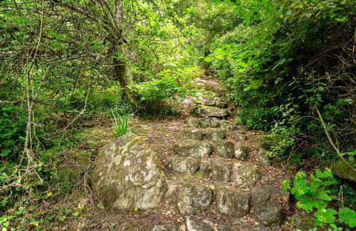 Finest Retreats - Tregatreath - Foto 52