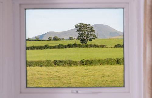 Big Pink House - Foto 24