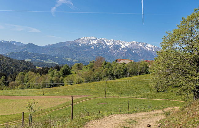 Eco Farm Mikl Pine Tree Apartment - Foto 13