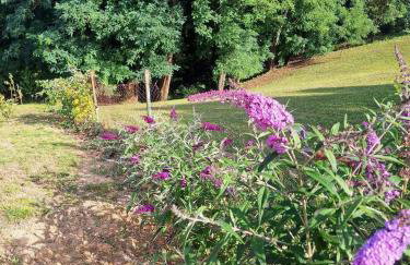 Drvena bajka - Photo 39