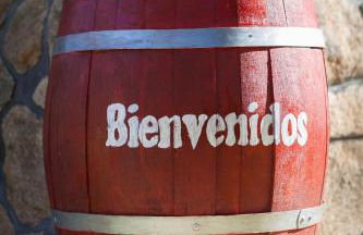 La Buenaventura del Tiétar - Foto 20