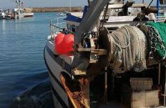 L'Escale Portaise - Photo 41