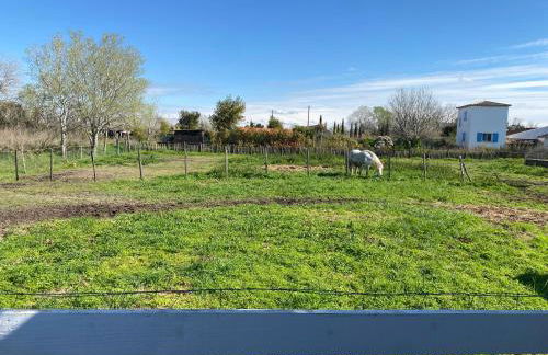LES MAISONS DU PATY - Foto 3