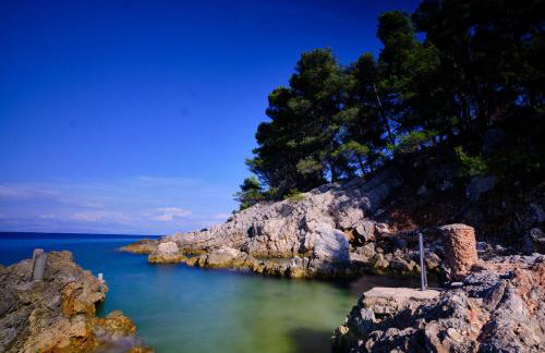 Vila Vita - Photo 72