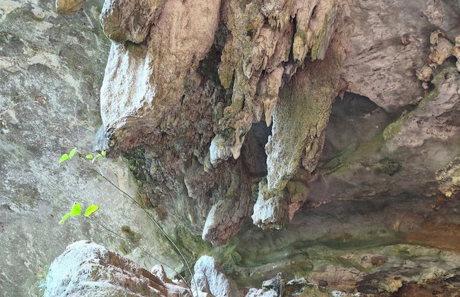 Anawa Krabi - Foto 66