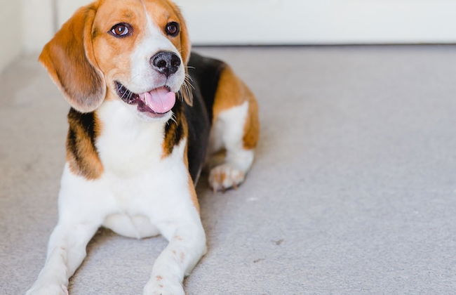 Home Made Guest Studios - Foto 74