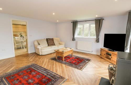 Nant Y Felin Lodge - Foto 4