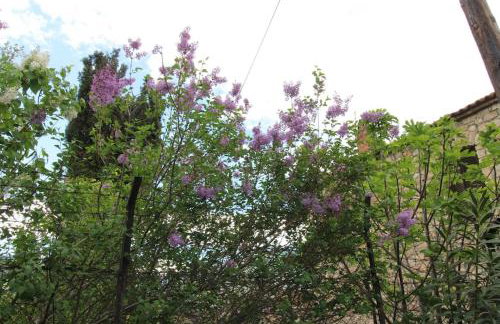 Raise Polydrosos Traditional Getaway - Foto 10