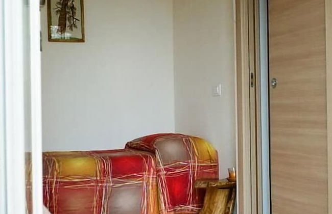 Agriturismo il Grande Ulivo - Foto 7