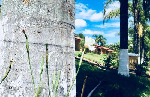 Hotel Fazenda Colina - Foto 42