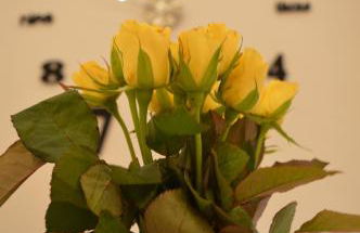 Allgäu Loft Bergzeit - Photo 10