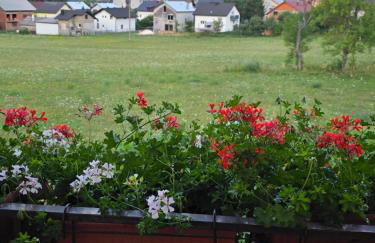 Apartments Žegarac House - Foto 13