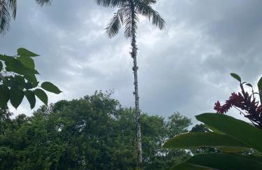 Chácara Gomes - Caiubura - Bertioga - Foto 49