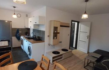Apartament JUKI 2, obok Katowice Wynajem na doby, krótkoterminowy, 2 pokoje, możliwość dodatkowych dwóch osób na rogówce w salonie za dodatkową opłatą, 37m2,- po kapitalnym remoncie, Wifi - Foto 8