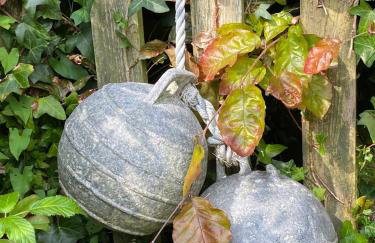 The Boathouse Osmington Mills - Foto 53