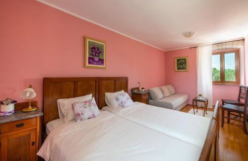 House Smolica - Foto 23