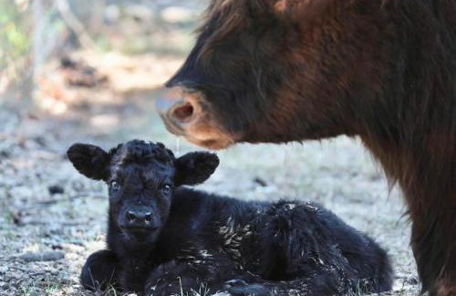 Ol’ Mel’s Farm - Foto 6