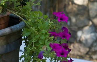 Prà de Mandè - Photo 14