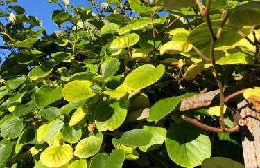 Agriturismo San Giusto - Foto 39