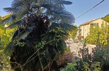 Le Magnolie - Foto 14