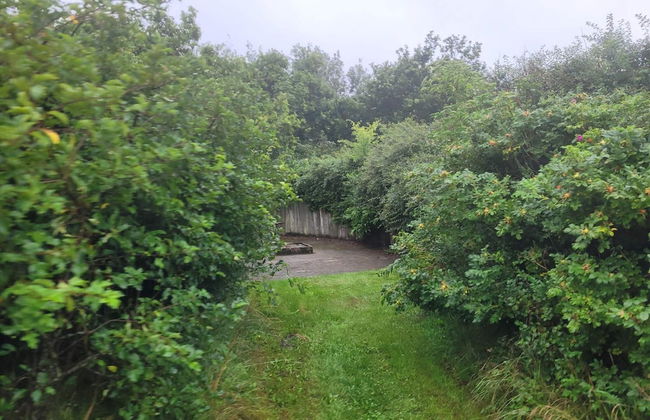 Idyllic Danish Farmhouse Retreat-by Traum - Foto 28