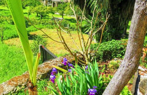 Charming House with Shared Pool in Porto de Mós. - Foto 21
